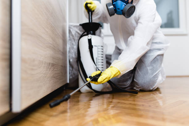 Best Emergency Pest Control  in Oak Hill, FL