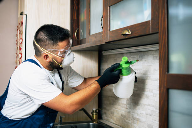 Best Commercial Pest Control Services  in Oak Hill, FL
