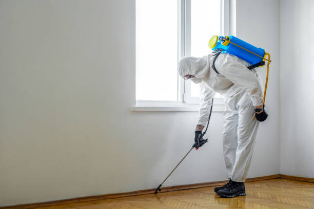 Best Bed Bug Extermination  in Oak Hill, FL