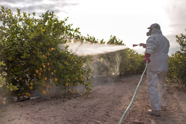 Best Best Pest Control Companies  in Oak Hill, FL