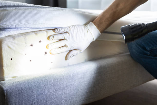 Wildlife Control Services in Oak Hill, FL