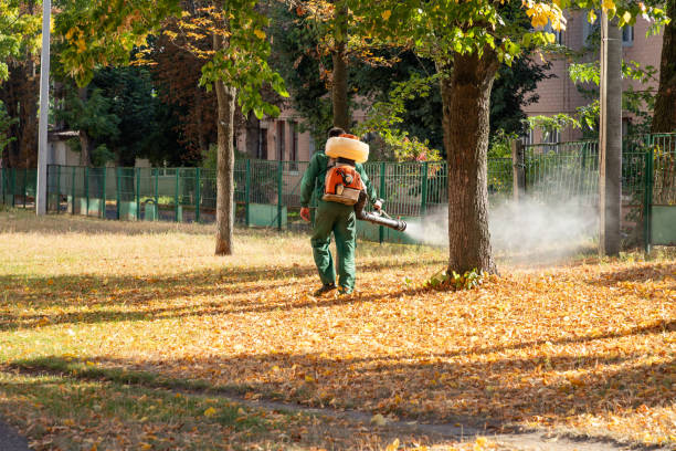 Best Best Pest Control Companies  in Oak Hill, FL